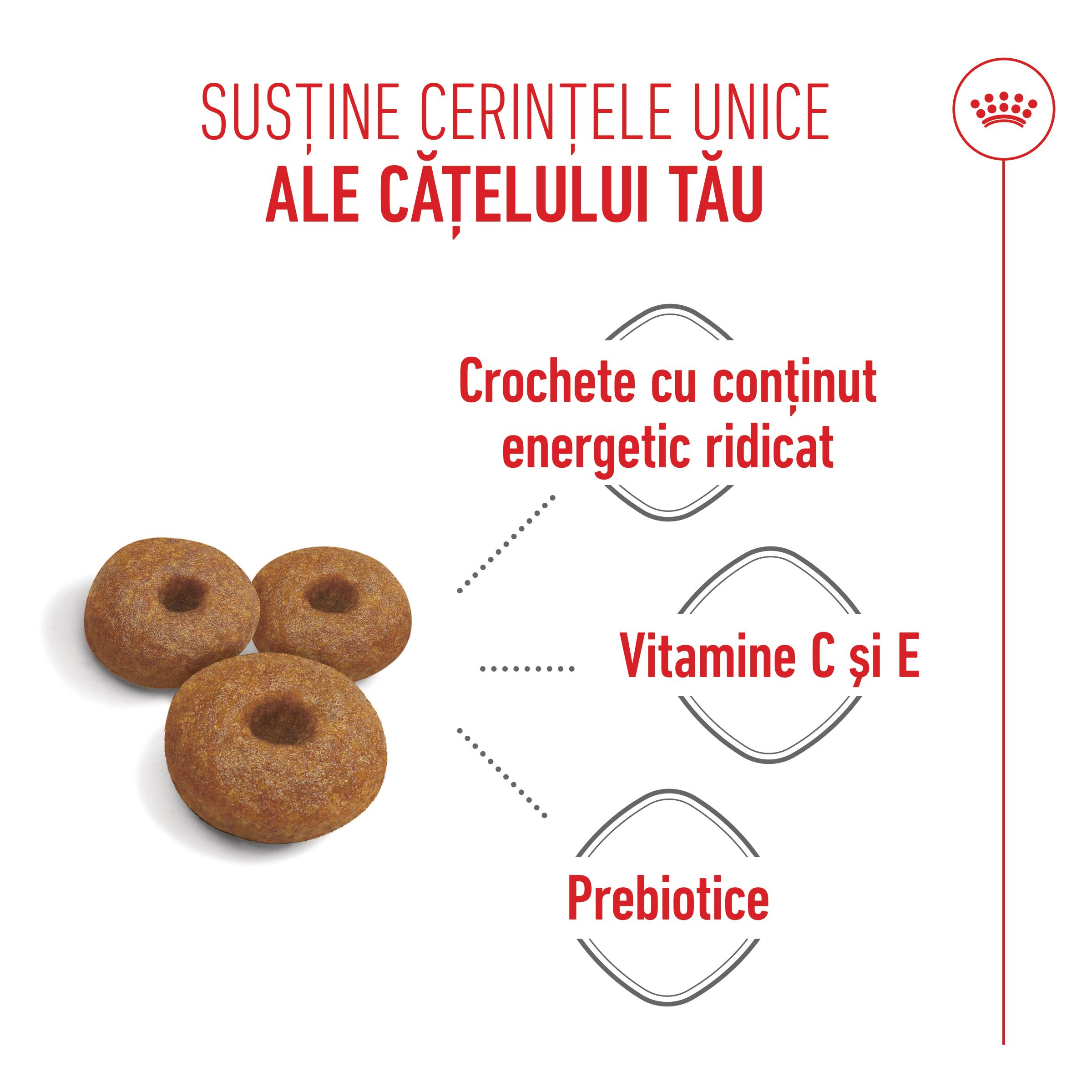 ROYAL CANIN Maxi Starter Mother & Babydog, mama și puiul, hrană uscată câini, 15kg - poza 5