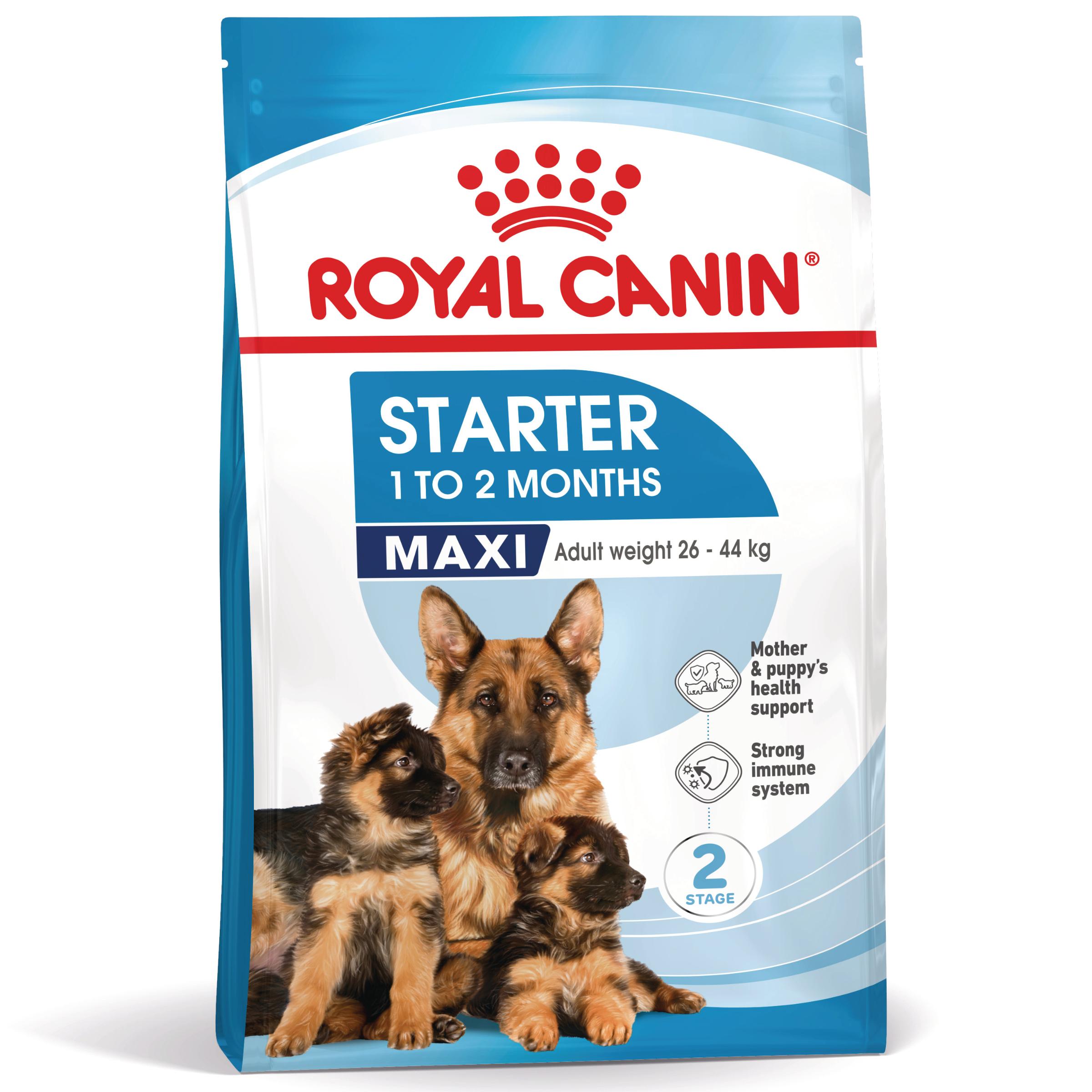 ROYAL CANIN Maxi Starter Mother & Babydog, mama și puiul, hrană uscată câini, 4kg - poza 2
