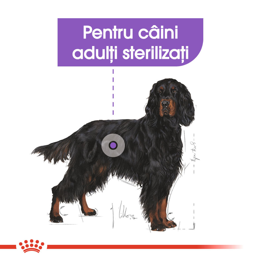 ROYAL CANIN Maxi Sterilised Adult hrană uscată câini sterilizați, 12kg - poza 4