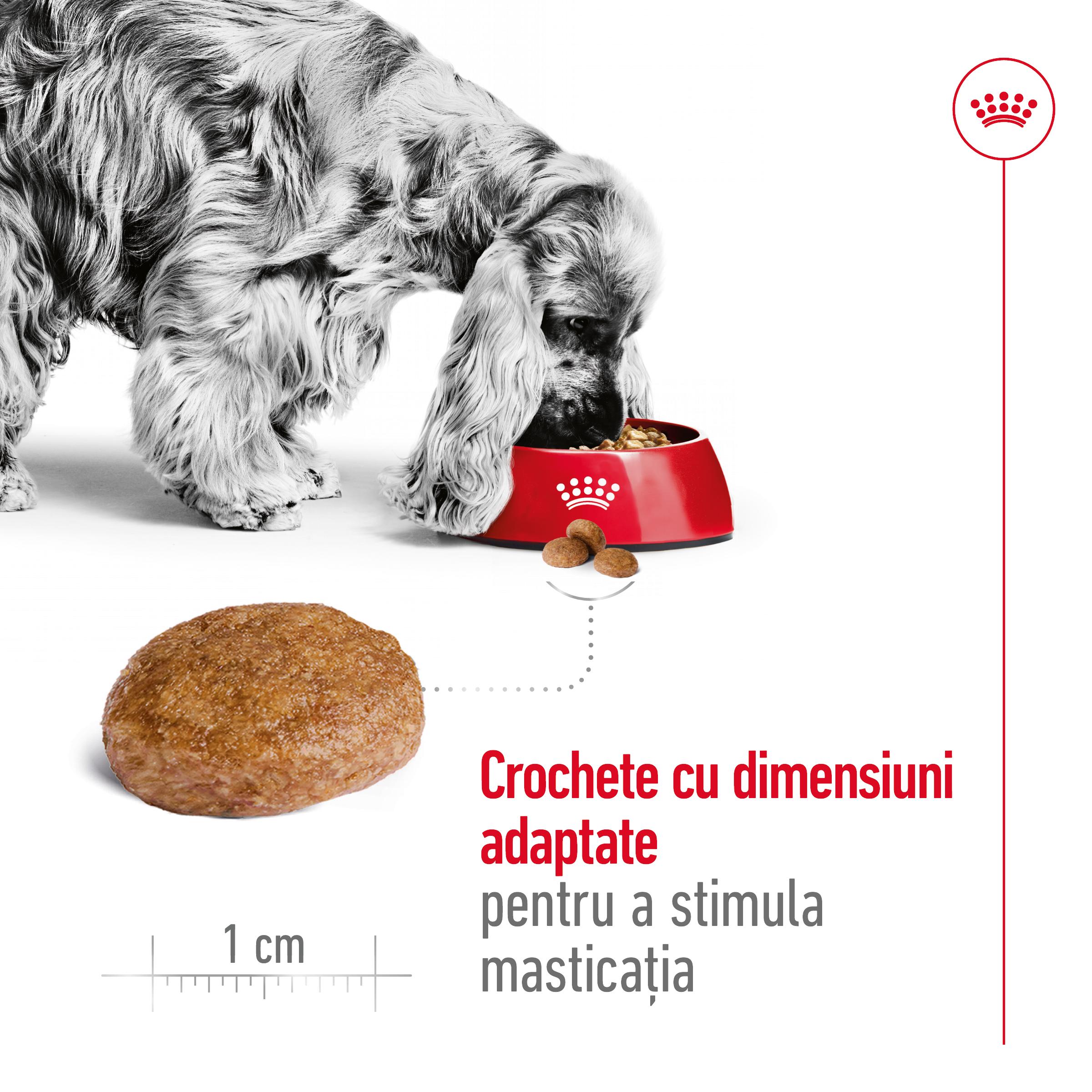 ROYAL CANIN Medium Adult 7+, hrană uscată câini senior, 15kg - poza 5