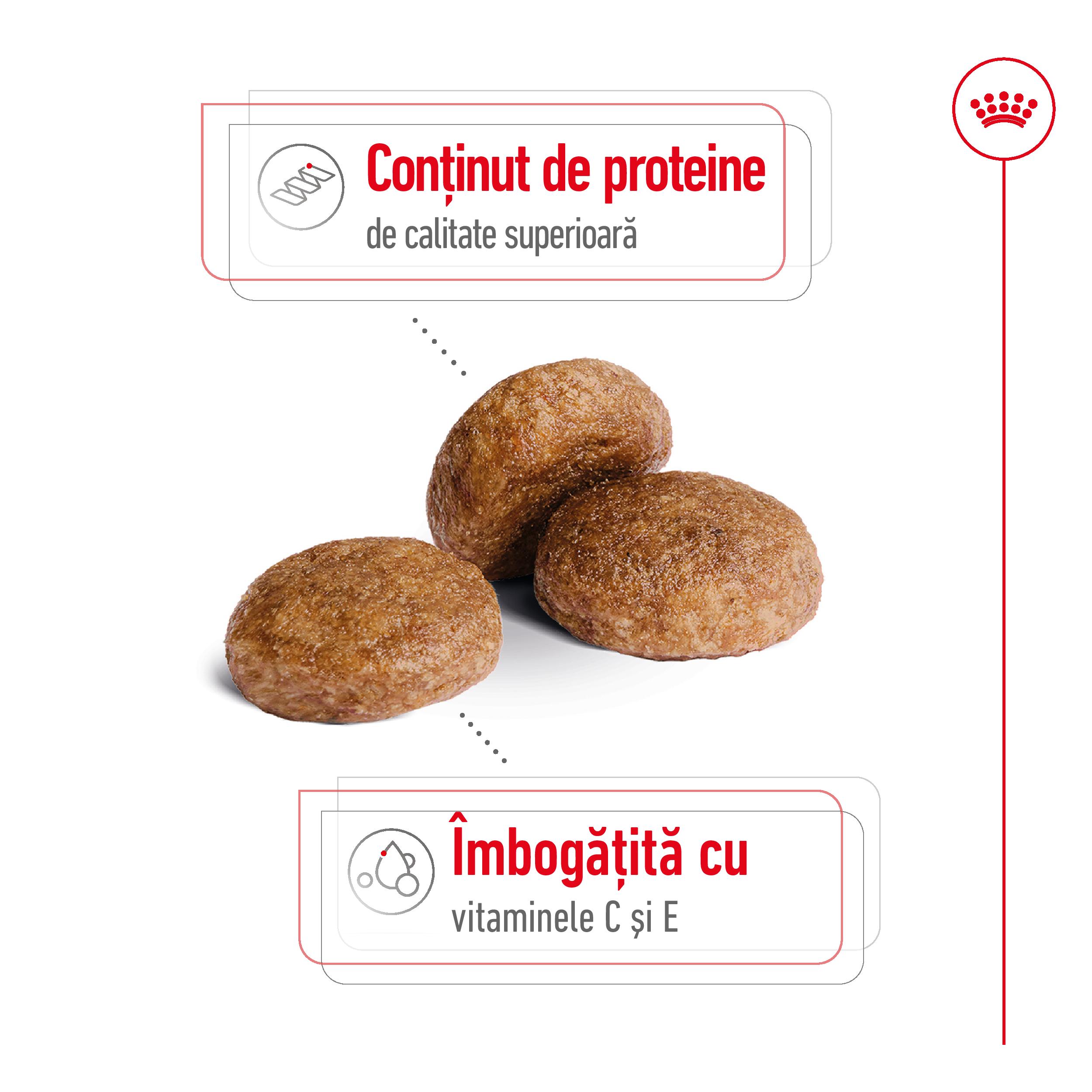 ROYAL CANIN Medium Adult 7+, hrană uscată câini senior, 4kg - poza 4