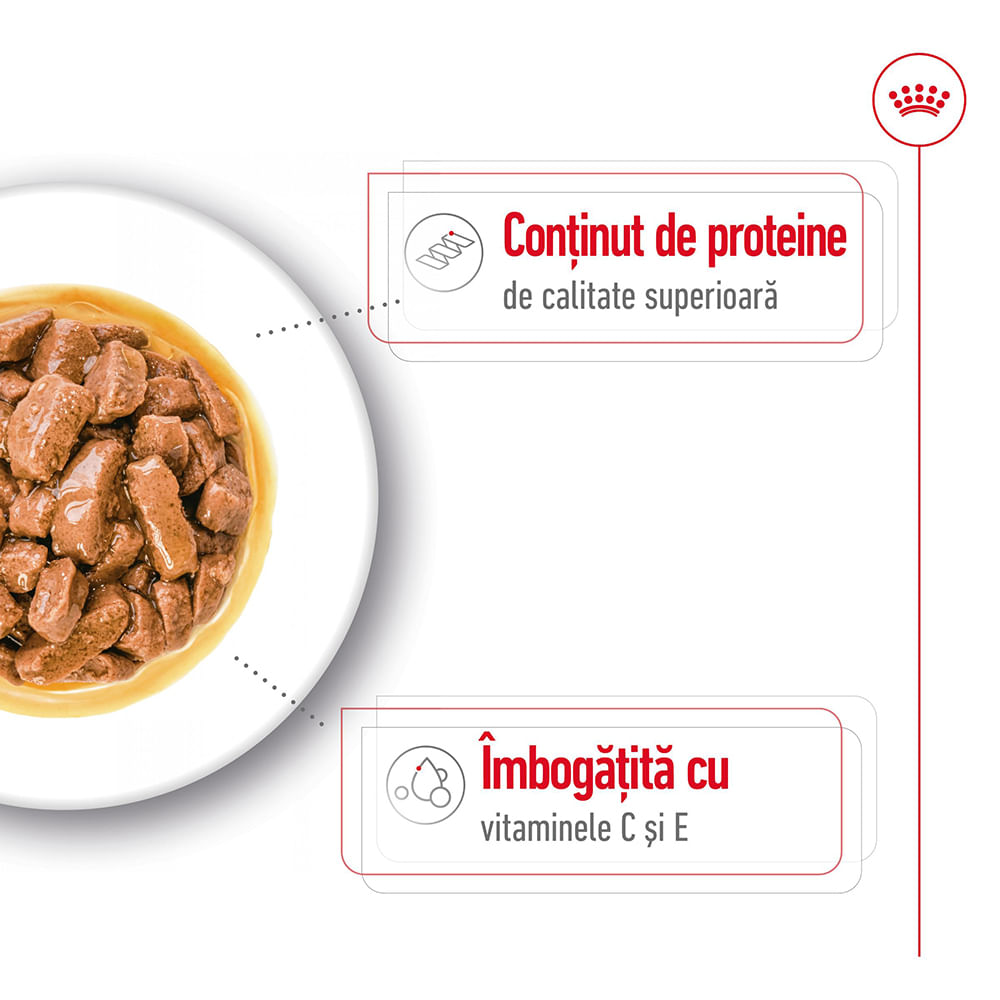 ROYAL CANIN Medium Adult hrană umedă câini (în sos), 140g - poza 4