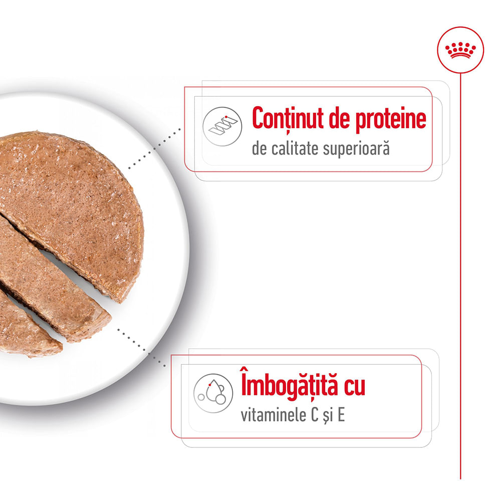 ROYAL CANIN Medium Adult hrană umedă câini (pate), bax, 410g x 12buc - poza 4