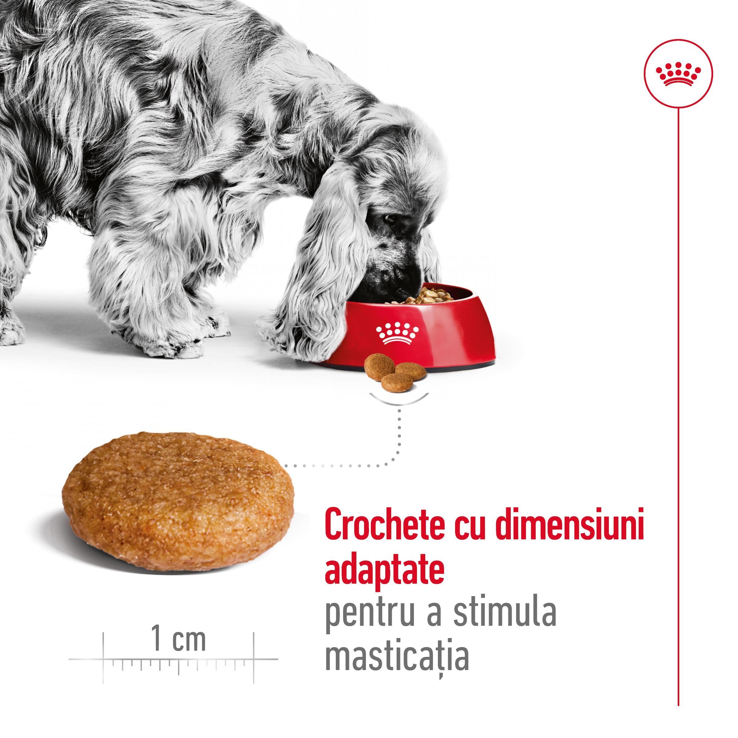 ROYAL CANIN Medium Adult, hrană uscată câini, 12kg - poza 5