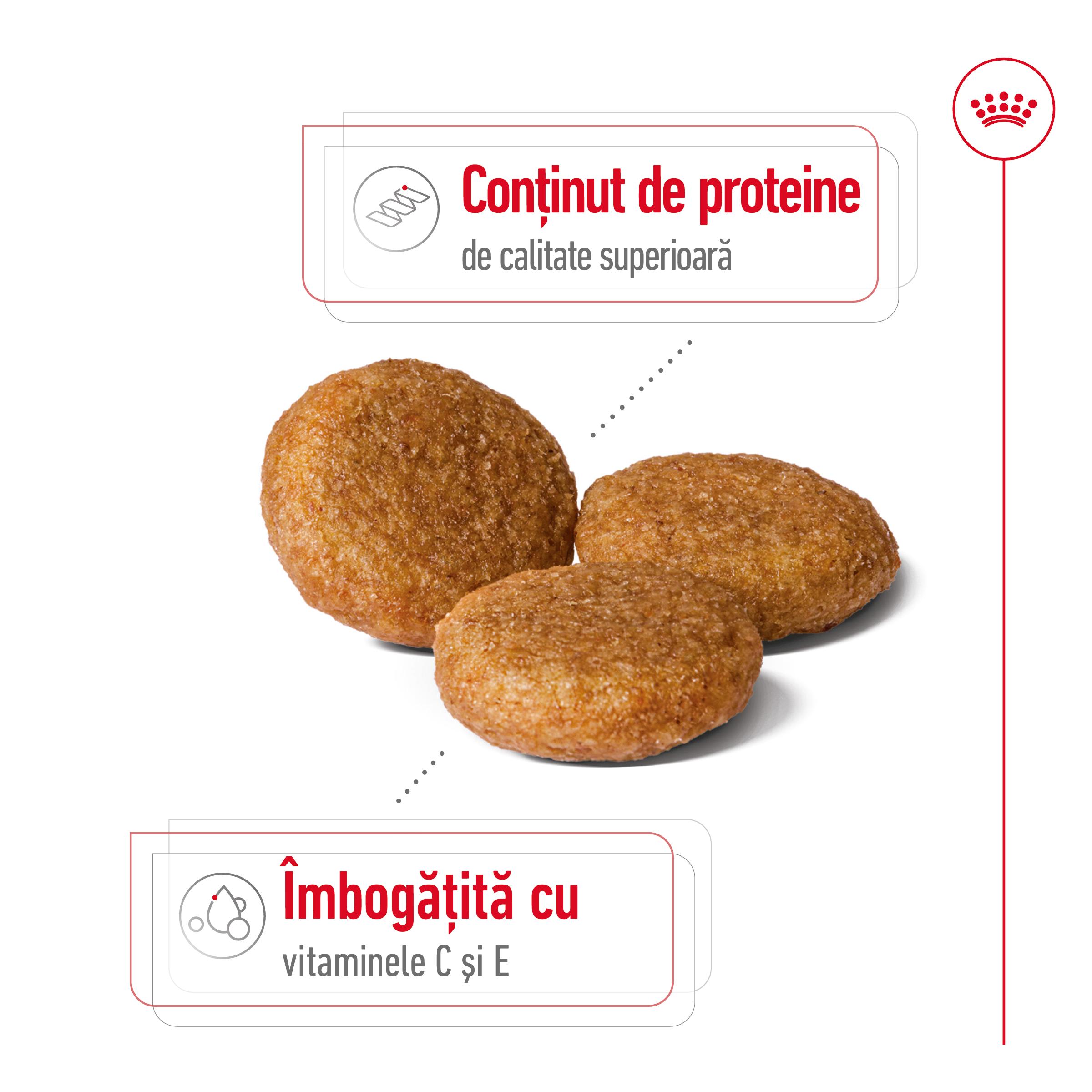 ROYAL CANIN Medium Adult, hrană uscată câini, 15kg - poza 4