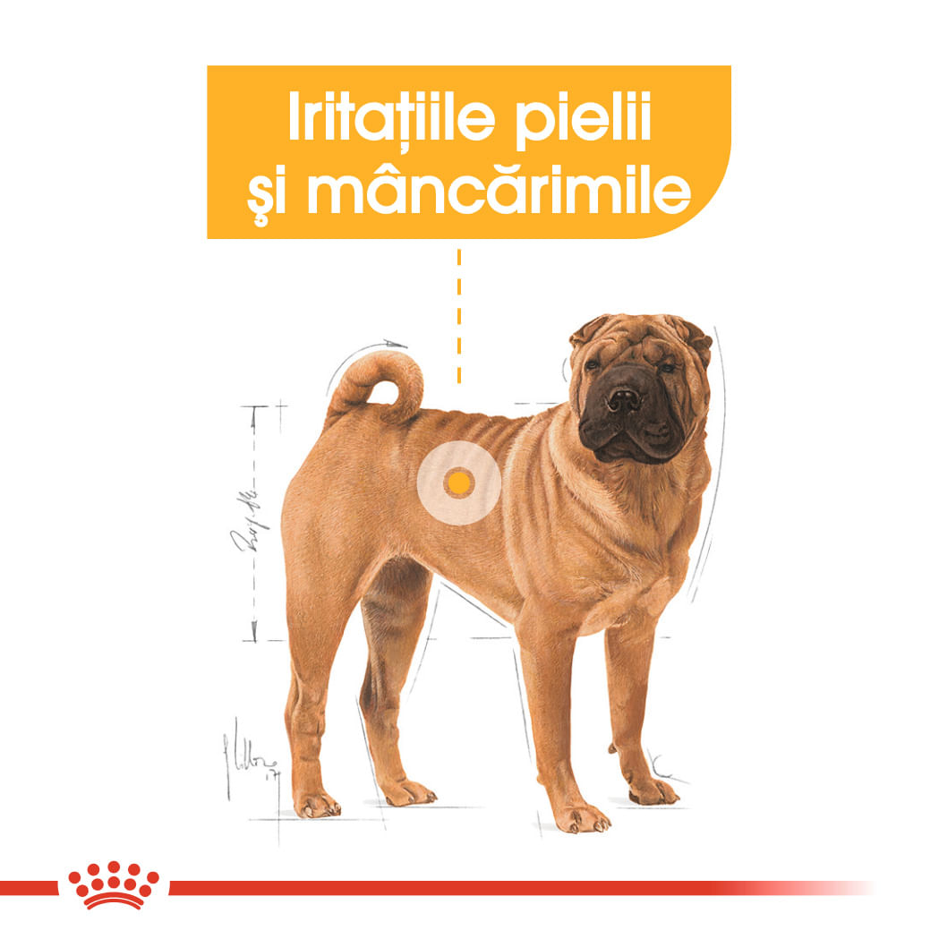 ROYAL CANIN Medium Dermacomfort, hrană uscată câini, prevenirea iritațiilor pielii, 12kg - poza 4