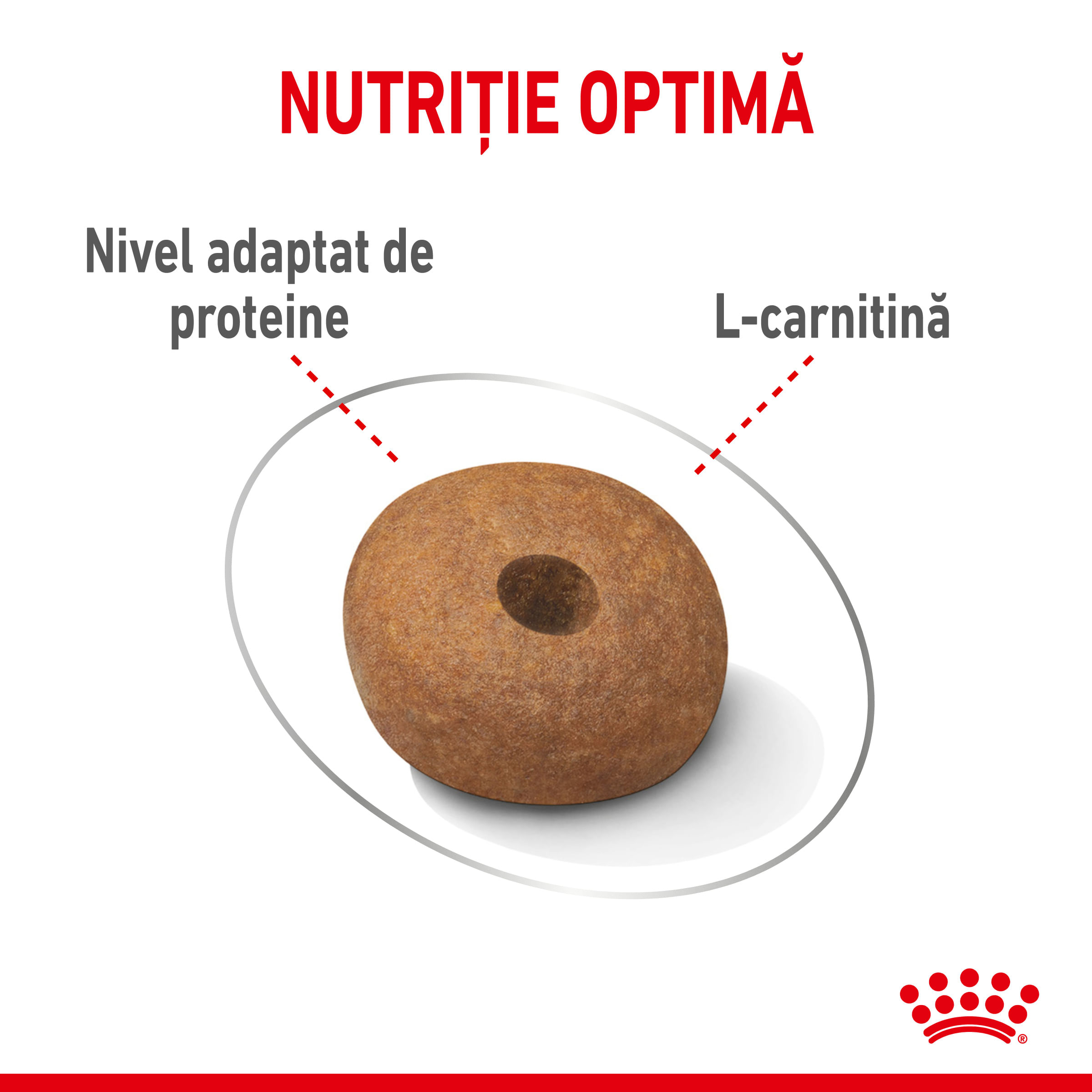 ROYAL CANIN Medium Light Weight Care Adult, hrană uscată câini, limitarea creșterii în greutate, 12kg - poza 5