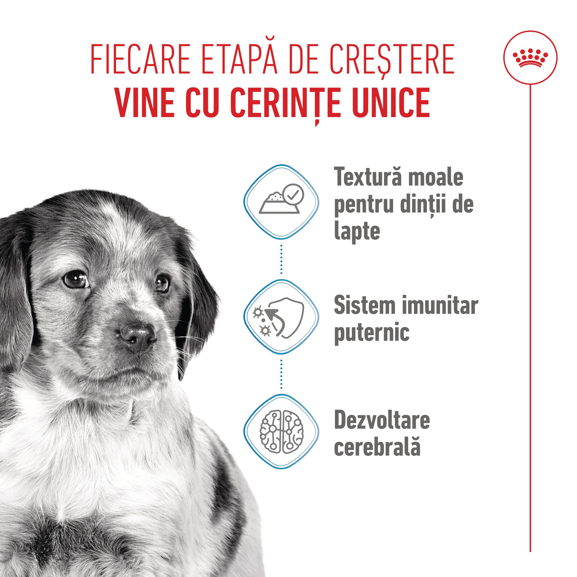 ROYAL CANIN Medium Puppy, hrană umedă câini junior, (în sos), 140g - poza 4