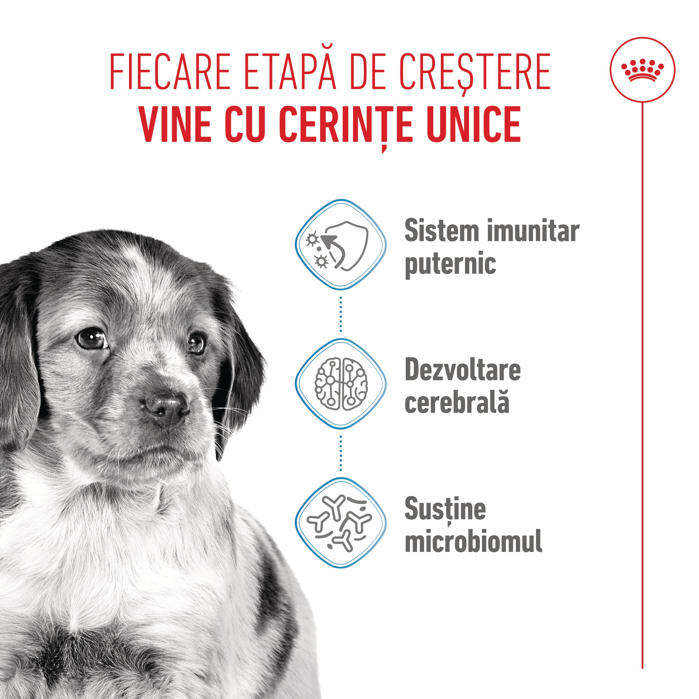 ROYAL CANIN Medium Puppy, hrană uscată câini junior, 3kg - poza 4