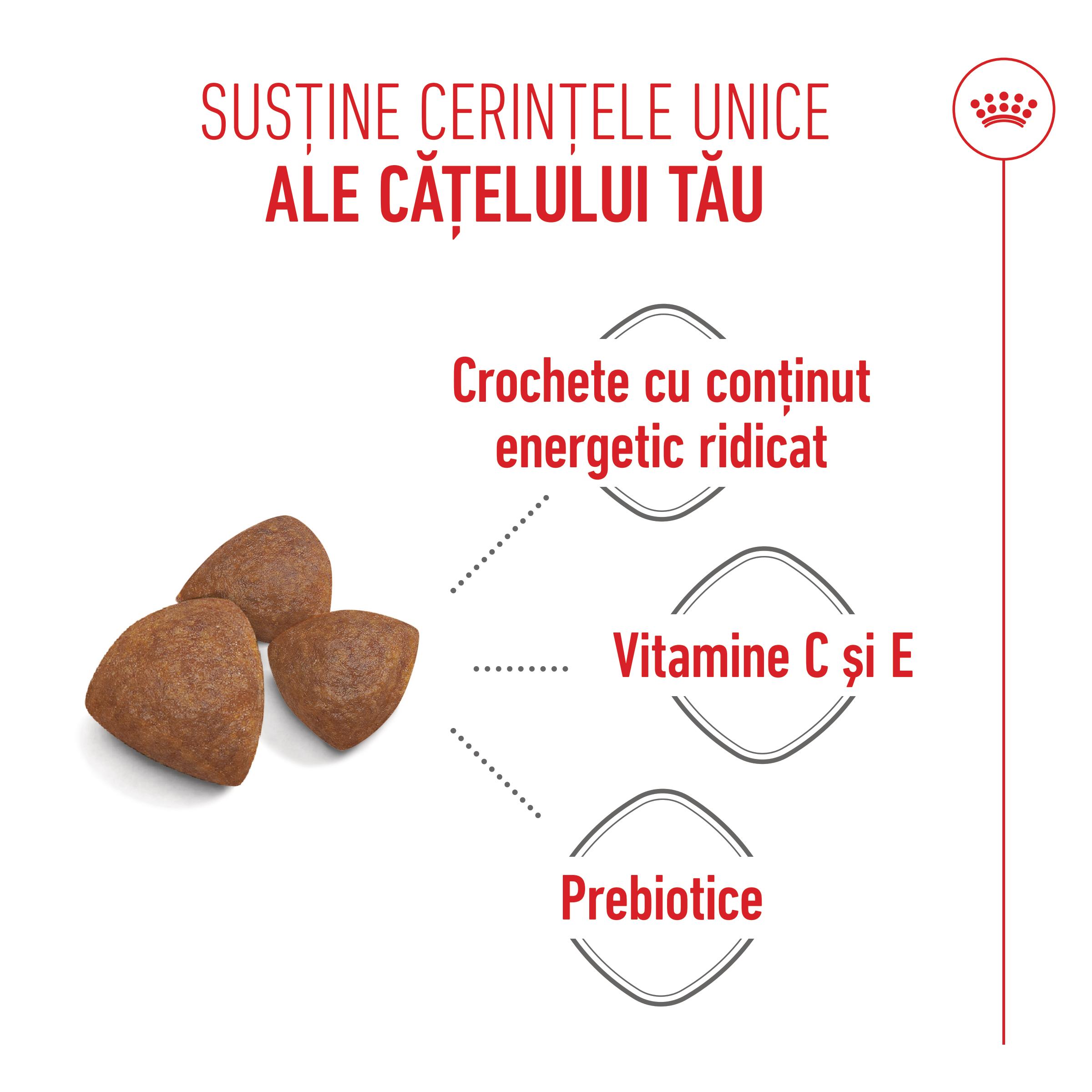 ROYAL CANIN Medium Starter Mother & Babydog, mama și puiul, hrană uscată câini, 15kg - poza 5