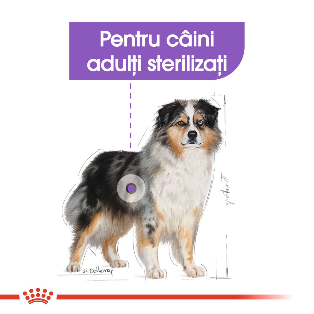 ROYAL CANIN Medium Sterilised Adult, hrană uscată câini sterilizați, 3kg - poza 4