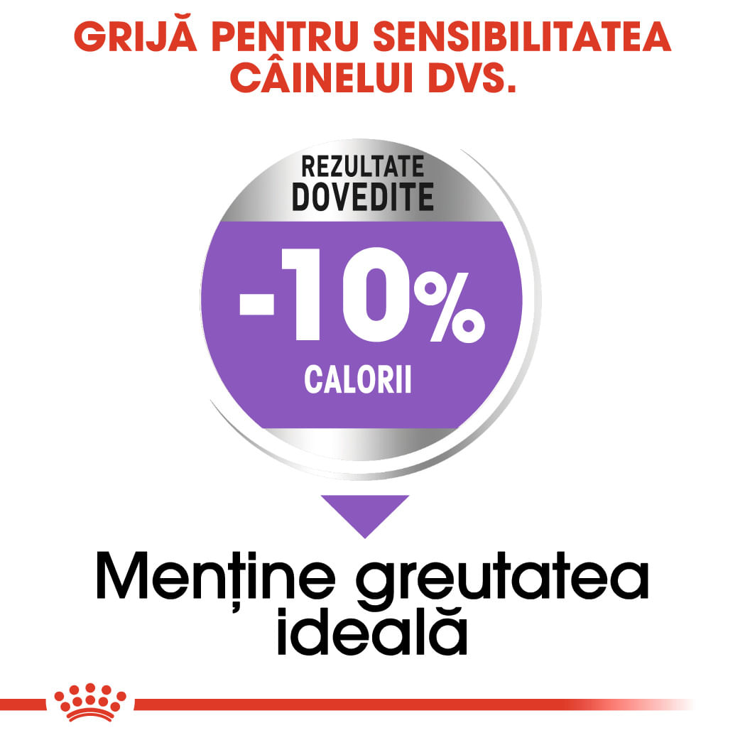 ROYAL CANIN Medium Sterilised Adult, hrană uscată câini sterilizați, 3kg - poza 5
