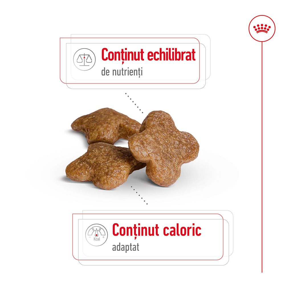 ROYAL CANIN Mini Adult 8+, hrană uscată câini, 2kg - poza 4