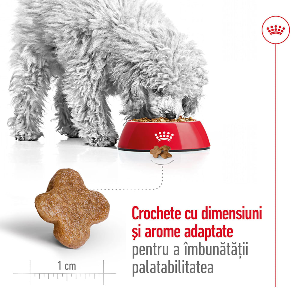 ROYAL CANIN Mini Adult 8+, hrană uscată câini, 2kg - poza 5