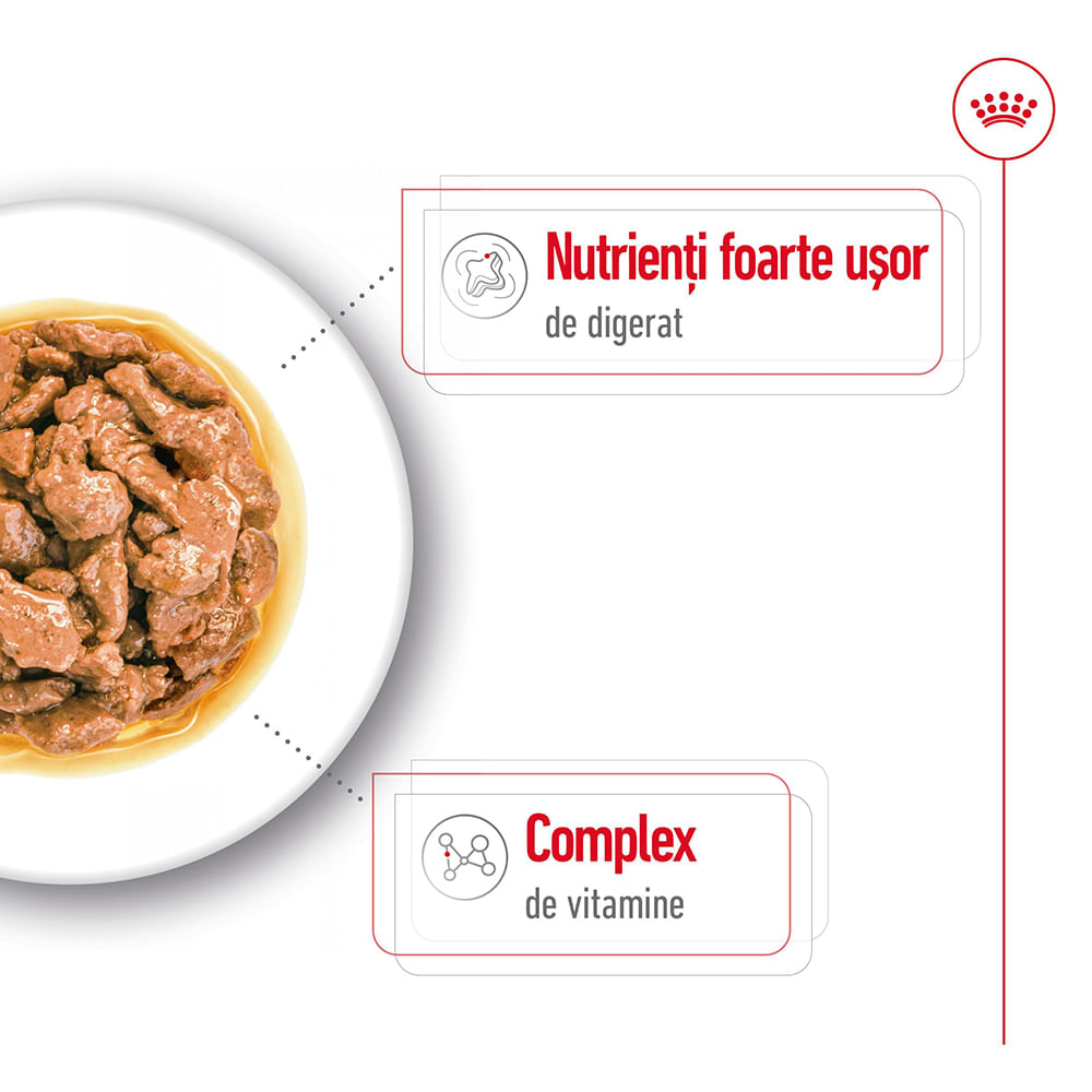 ROYAL CANIN Mini Adult, hrană umedă câini, (în sos), 85g - poza 4