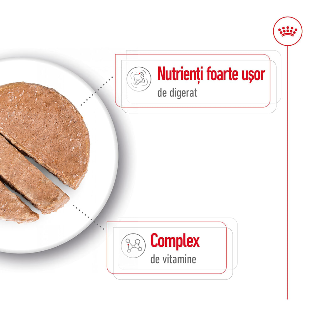 ROYAL CANIN Mini Adult hrană umedă câini (pate), bax, 195g x 12buc - poza 4
