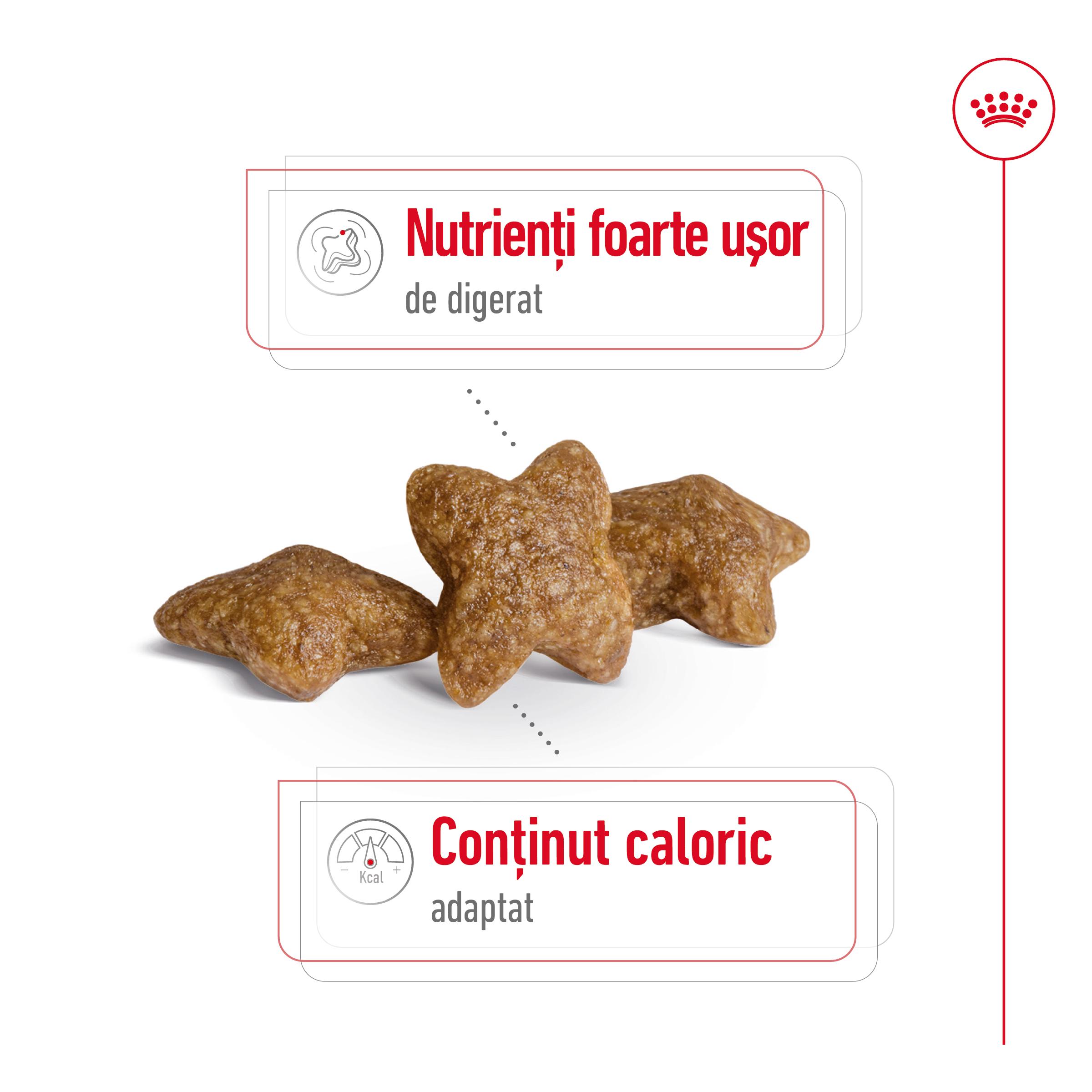 ROYAL CANIN Mini Adult, hrană uscată câini, 2kg - poza 4