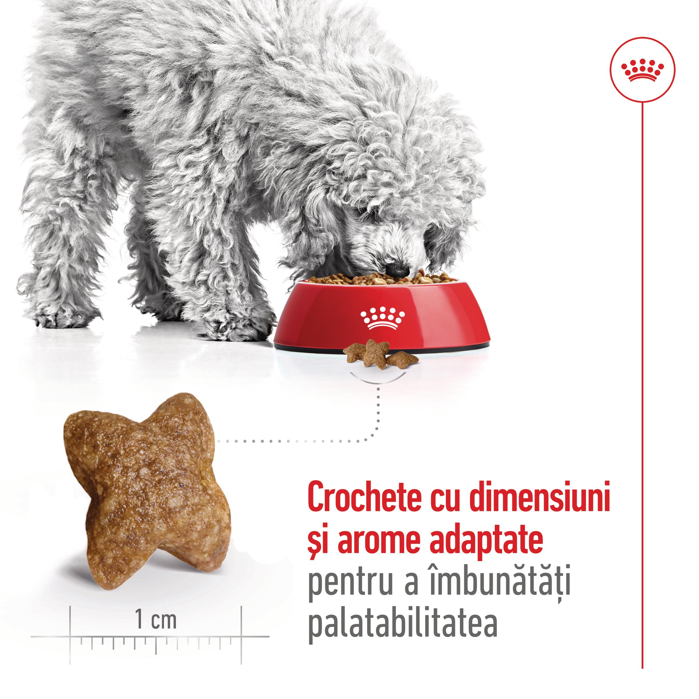 ROYAL CANIN Mini Adult, hrană uscată câini, 4kg - poza 5