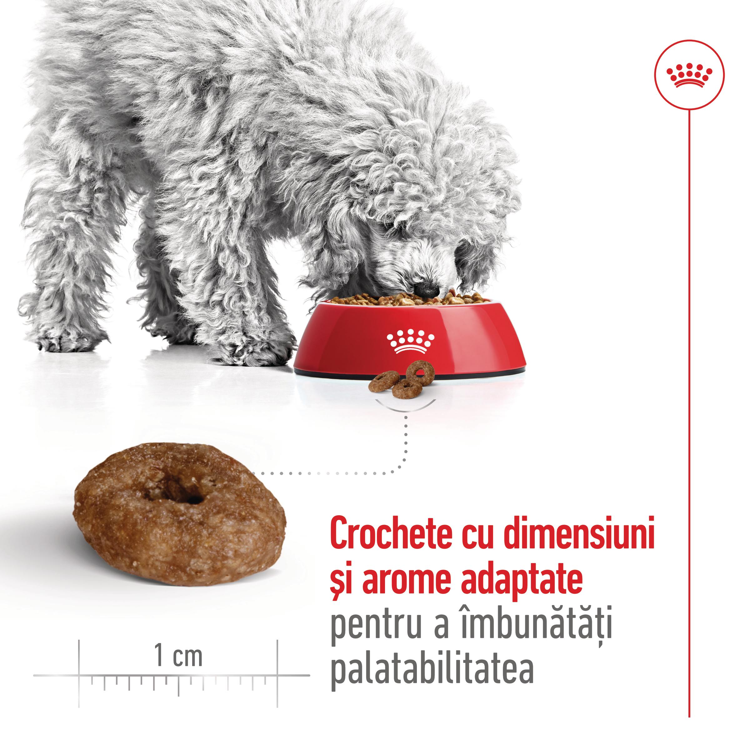 ROYAL CANIN Mini Ageing 12+, hrană uscată câini senior, 1.5kg - poza 5