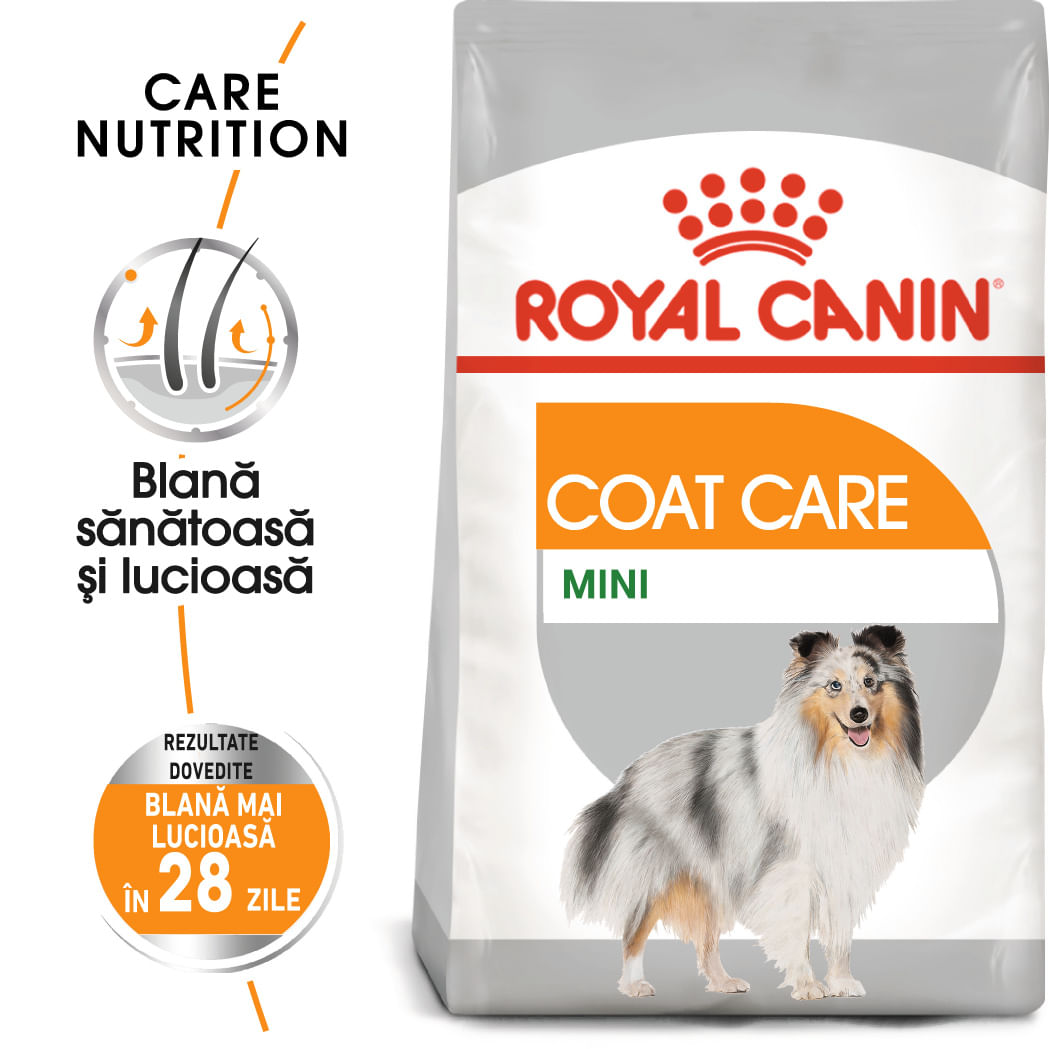 ROYAL CANIN Mini Coat Care Adult, hrană uscată câini, 3kg - poza 1