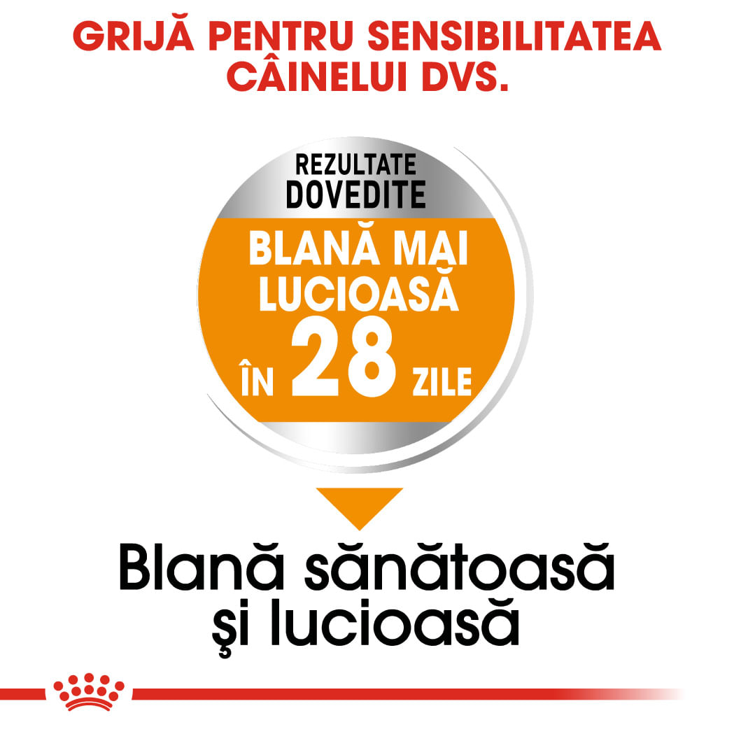 ROYAL CANIN Mini Coat Care Adult, hrană uscată câini, 3kg - poza 5