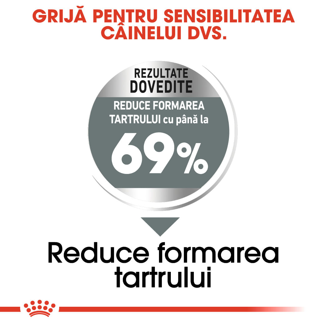 ROYAL CANIN Mini Dental Care Adult, hrană uscată câini, reducerea formării tartrului, 1kg - poza 5