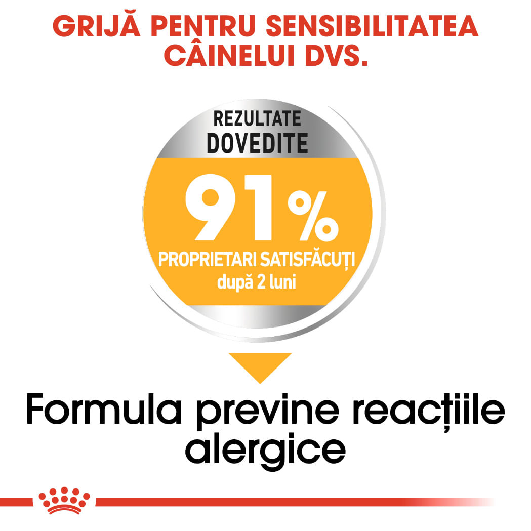 ROYAL CANIN Mini Dermacomfort, hrană uscată câini, prevenirea iritațiilor pielii, 1kg - poza 5