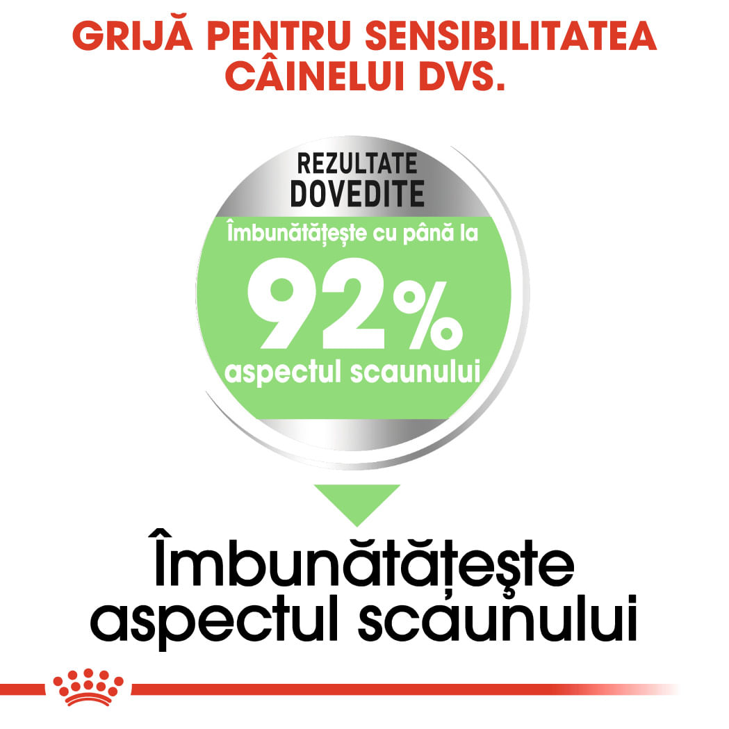 ROYAL CANIN Mini Digestive Care, hrană uscată câini, confort digestiv, 3kg - poza 5