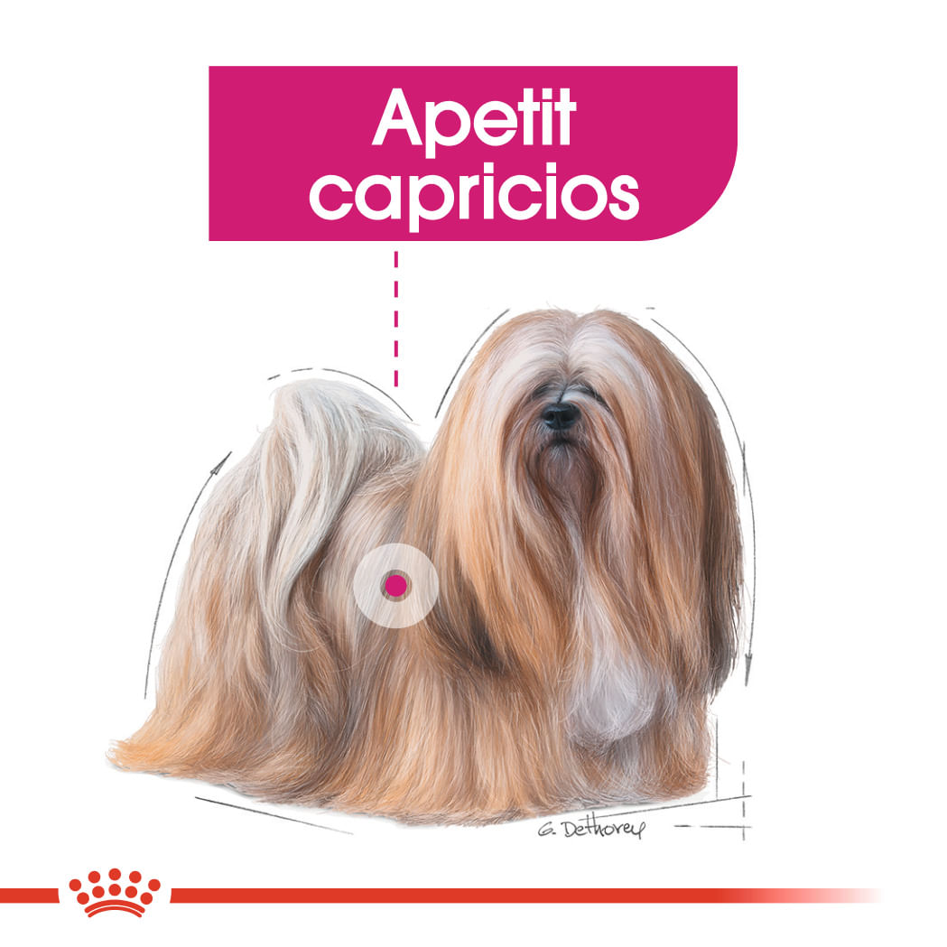 ROYAL CANIN Mini Exigent, hrană uscată câini, apetit capricios, 1kg - poza 4