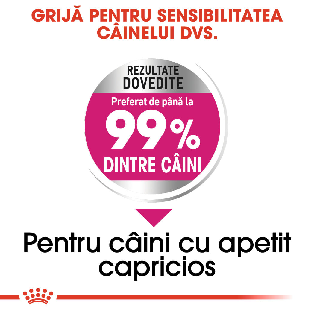 ROYAL CANIN Mini Exigent, hrană uscată câini, apetit capricios, 1kg - poza 5