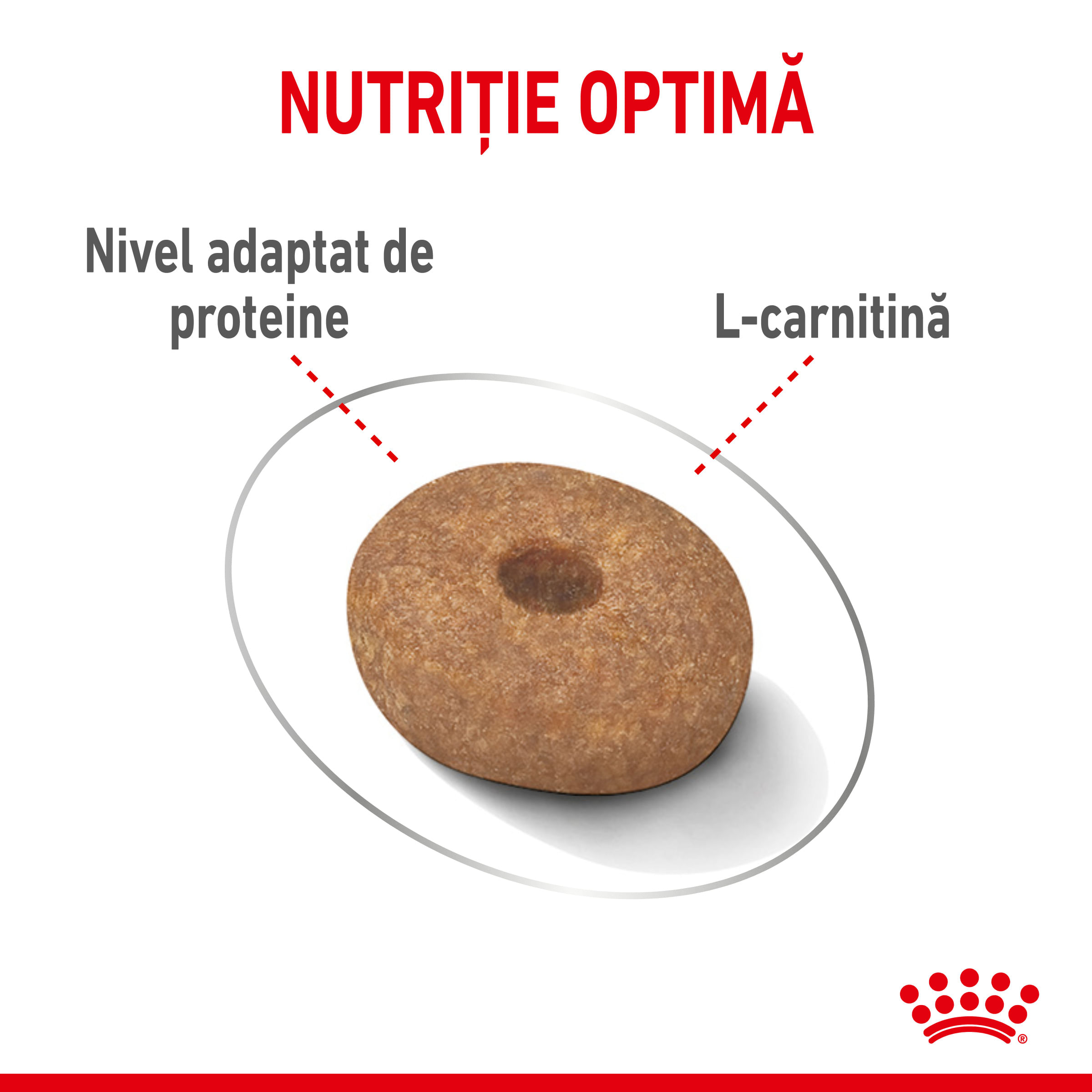 ROYAL CANIN Mini Light Weight Care Adult, hrană uscată câini, limitarea creșterii în greutate, 8kg - poza 5