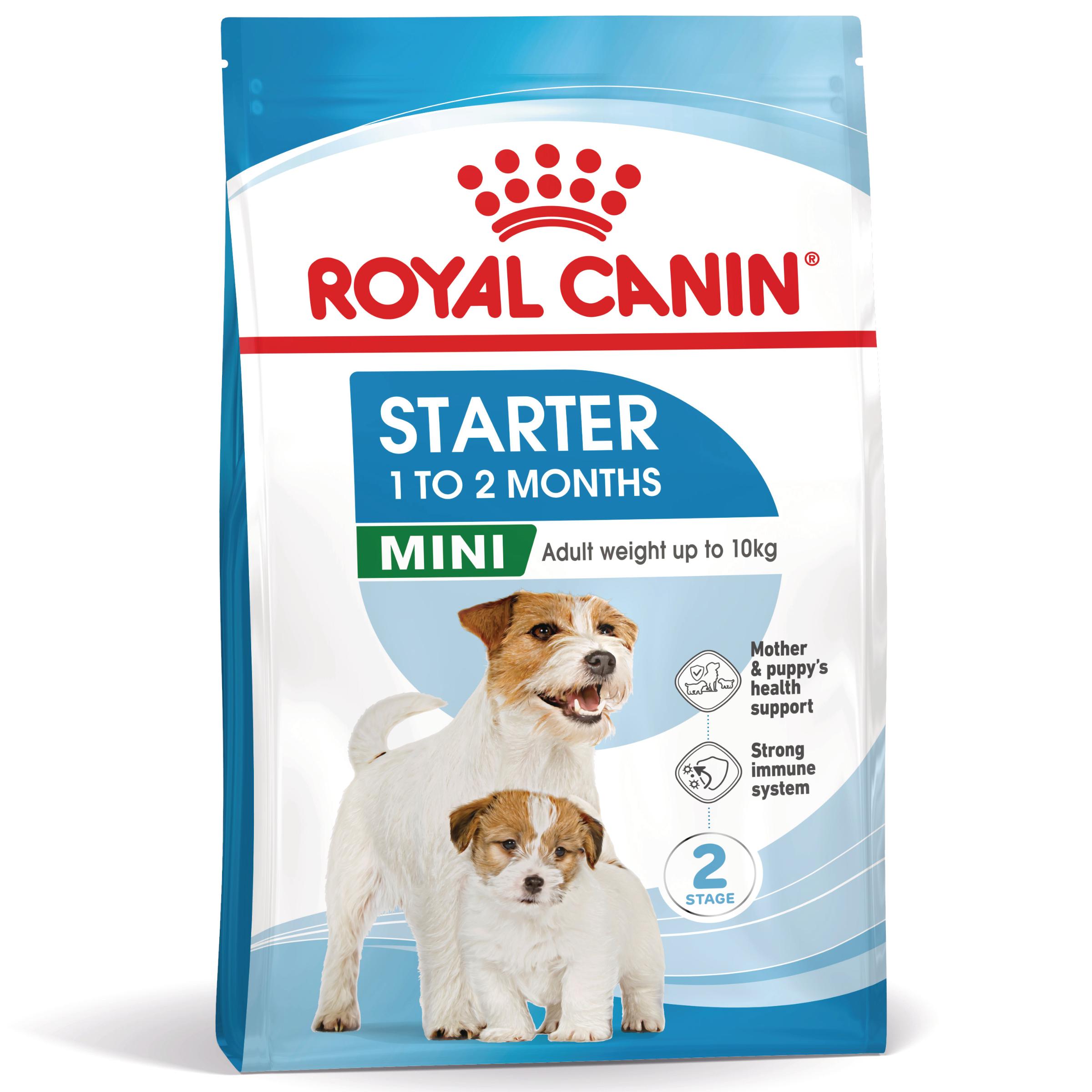 ROYAL CANIN Mini Starter Mother & Babydog, mama și puiul, hrană uscată câini, 8kg - poza 1