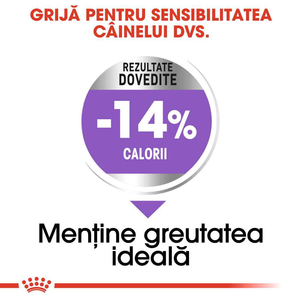 ROYAL CANIN Mini Sterilised Adult, hrană uscată câini sterilizați, 8kg - poza 5