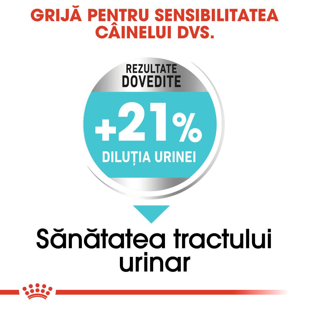 ROYAL CANIN Mini Urinary Care, hrană uscată câini, sănătatea tractului urinar, 8kg - poza 5