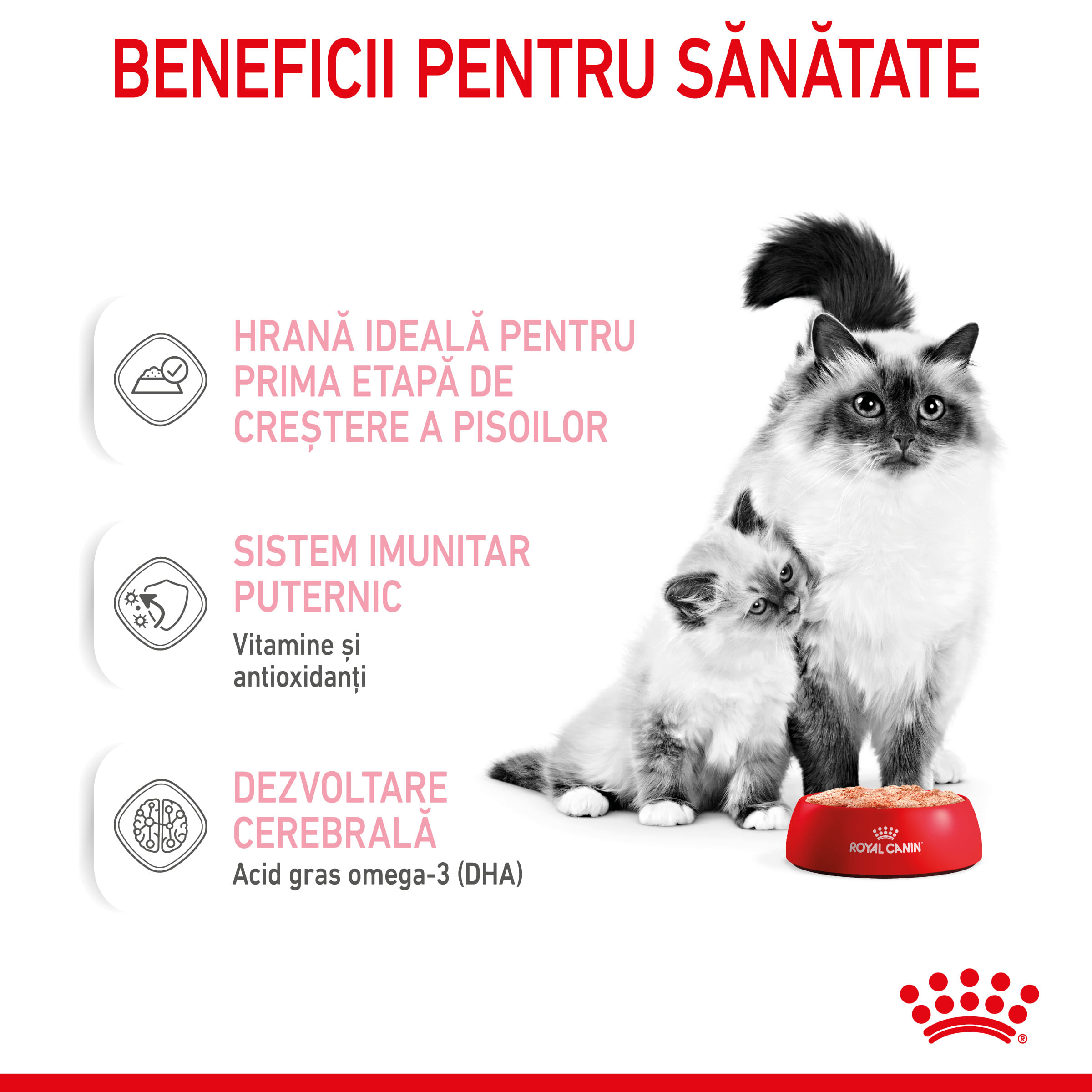 ROYAL CANIN Mother & BabyCat, hrană umedă pisici, mama și puiul, (mousse), 195g - poza 4