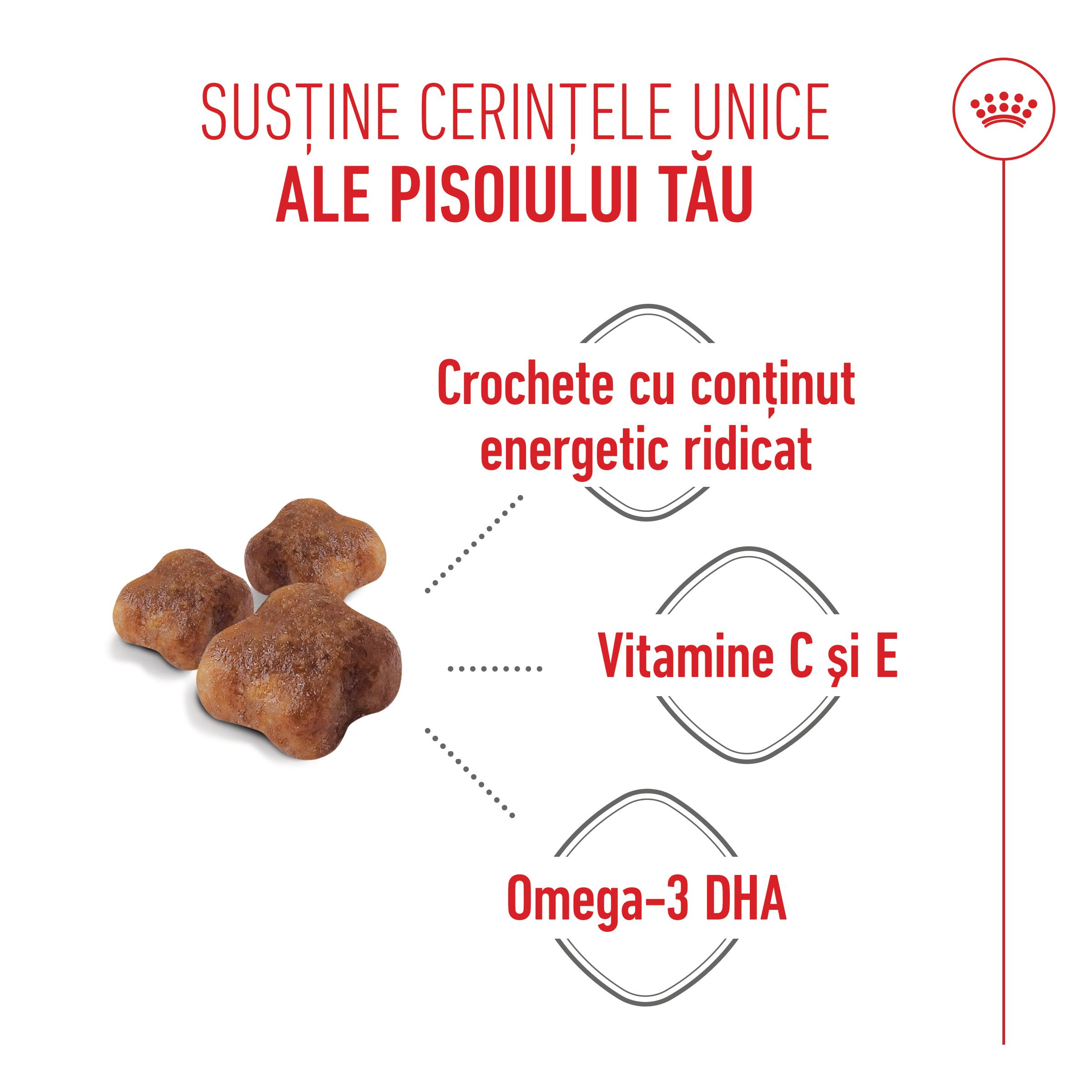 ROYAL CANIN Mother & BabyCat, hrană uscată pisici, mama și puiul, 400g - poza 5