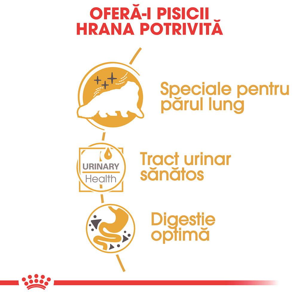 ROYAL CANIN Persian Adult, hrană umedă pisici, (pate), 85g - poza 4