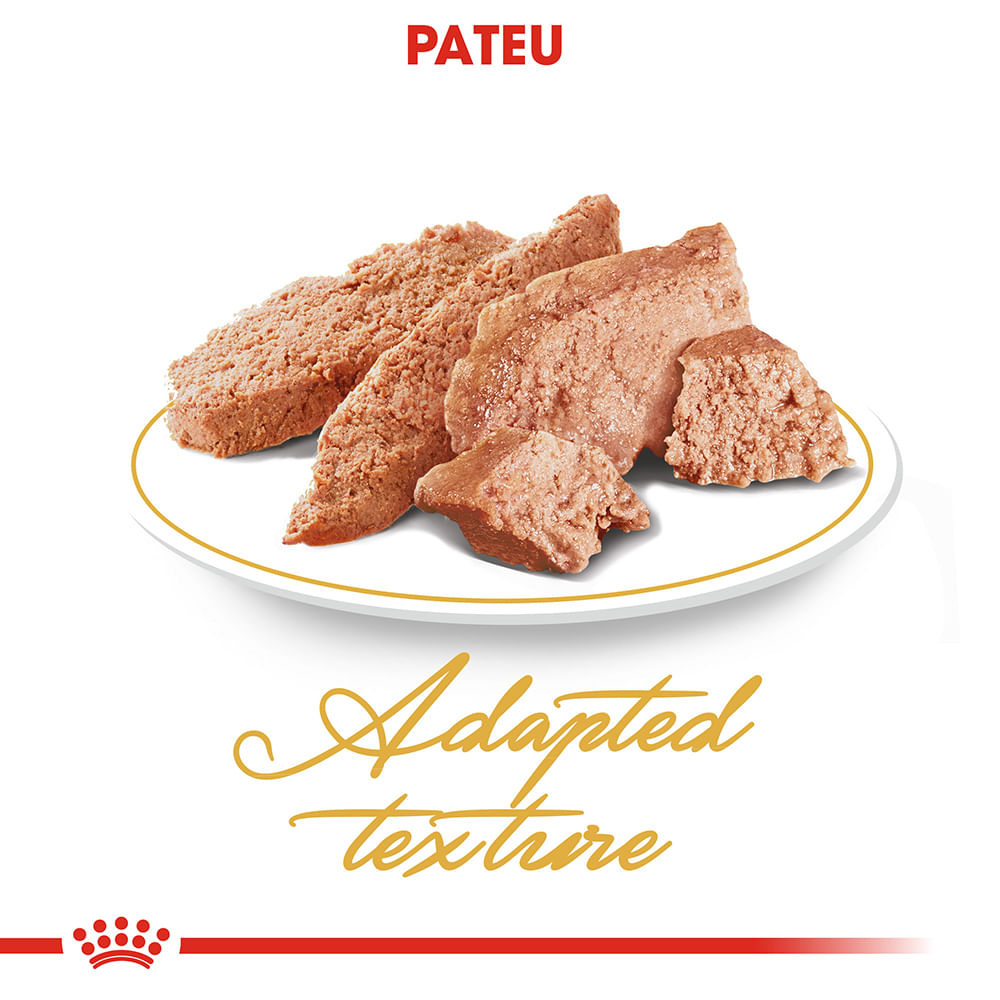 ROYAL CANIN Persian Adult, hrană umedă pisici, (pate), 85g - poza 5