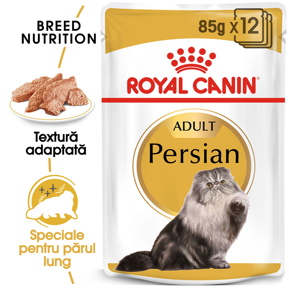 ROYAL CANIN Persian Adult, hrană umedă pisici, (pate), bax, 85g x 12buc - poza 1