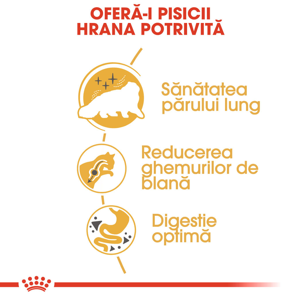 ROYAL CANIN Persian Adult, hrană uscată pisici, 10kg - poza 5