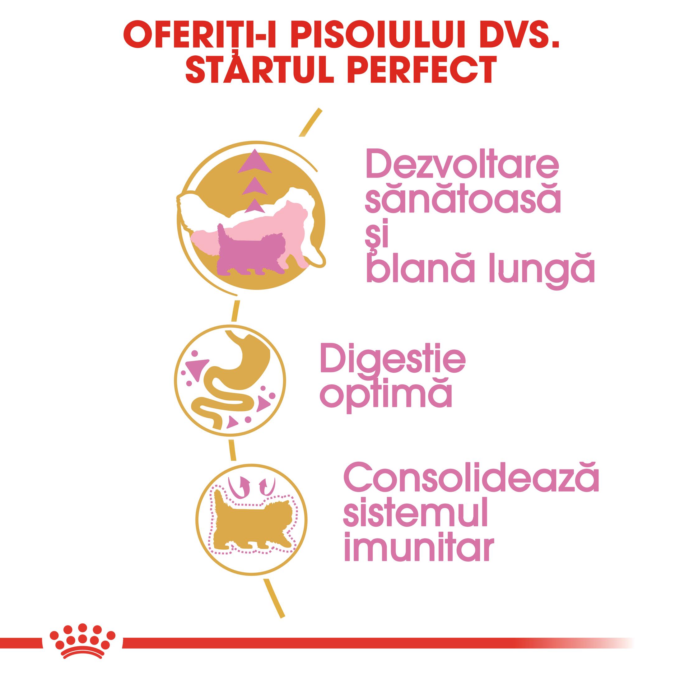 ROYAL CANIN Persian Kitten, hrană uscată pisici junior, 2kg - poza 5
