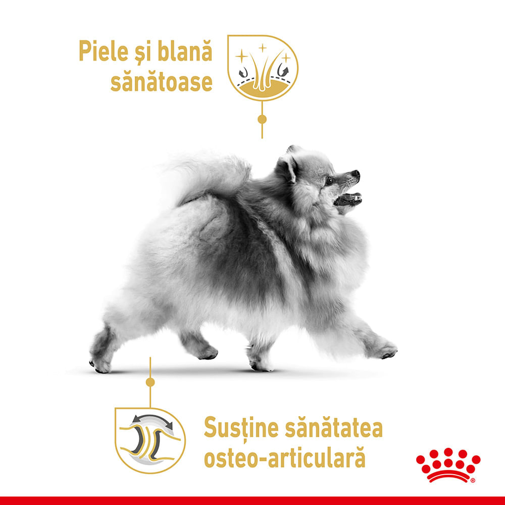 ROYAL CANIN Pomeranian Adult , hrană uscată câini, 1.5kg - poza 4