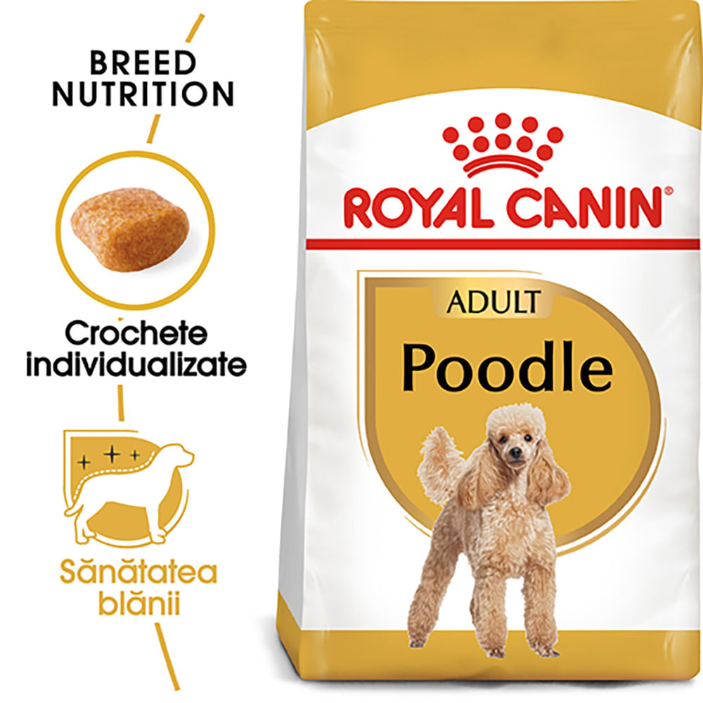 ROYAL CANIN Poodle Adult, hrană uscată câini, 1.5kg - poza 2