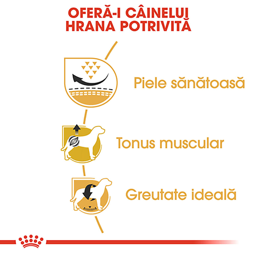 ROYAL CANIN Pug Adult, hrană uscată câini, 1.5kg - poza 5