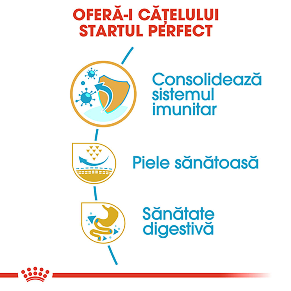 ROYAL CANIN Pug Puppy, hrană uscată câini junior, 1.5kg - poza 5