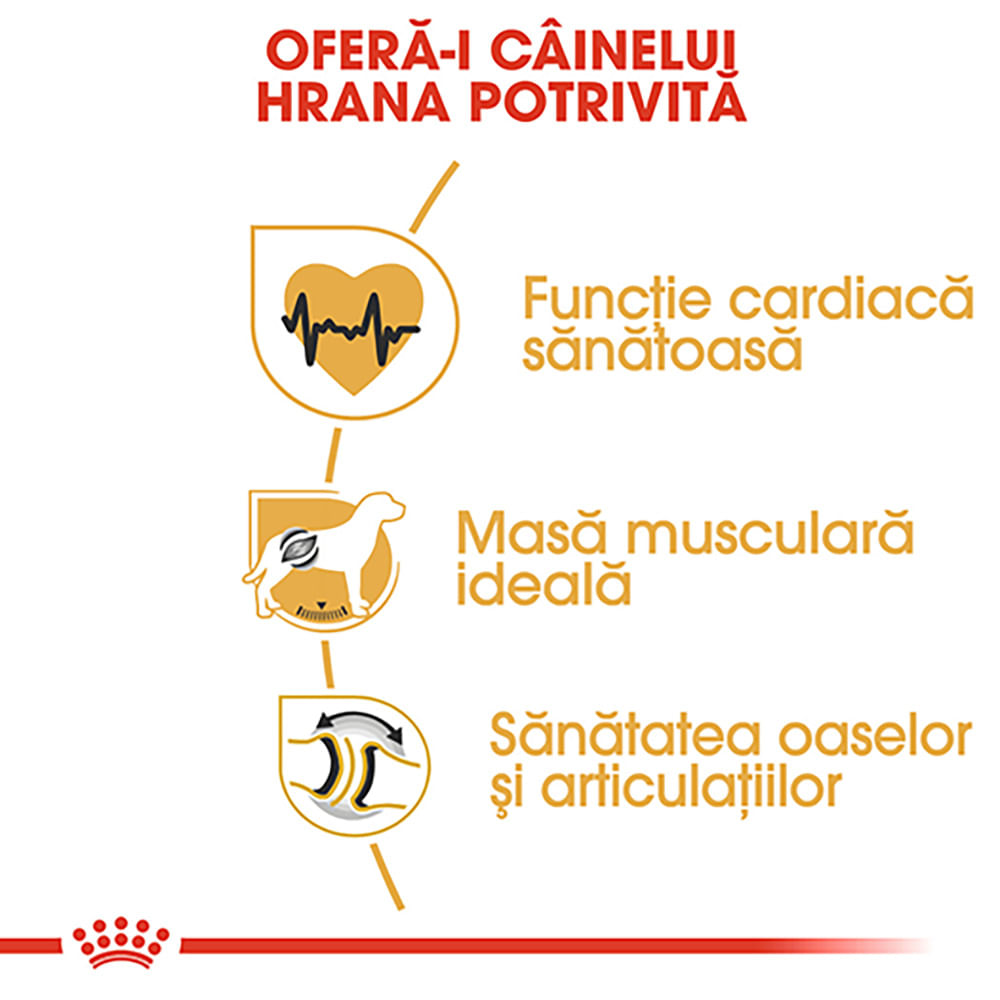 ROYAL CANIN Rottweiller Adult, hrană uscată câini, 12kg - poza 5