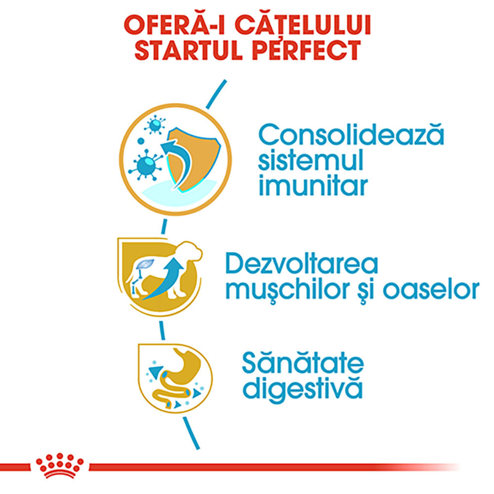 ROYAL CANIN Rottweiller Puppy, hrană uscată câini junior, 12kg - poza 5