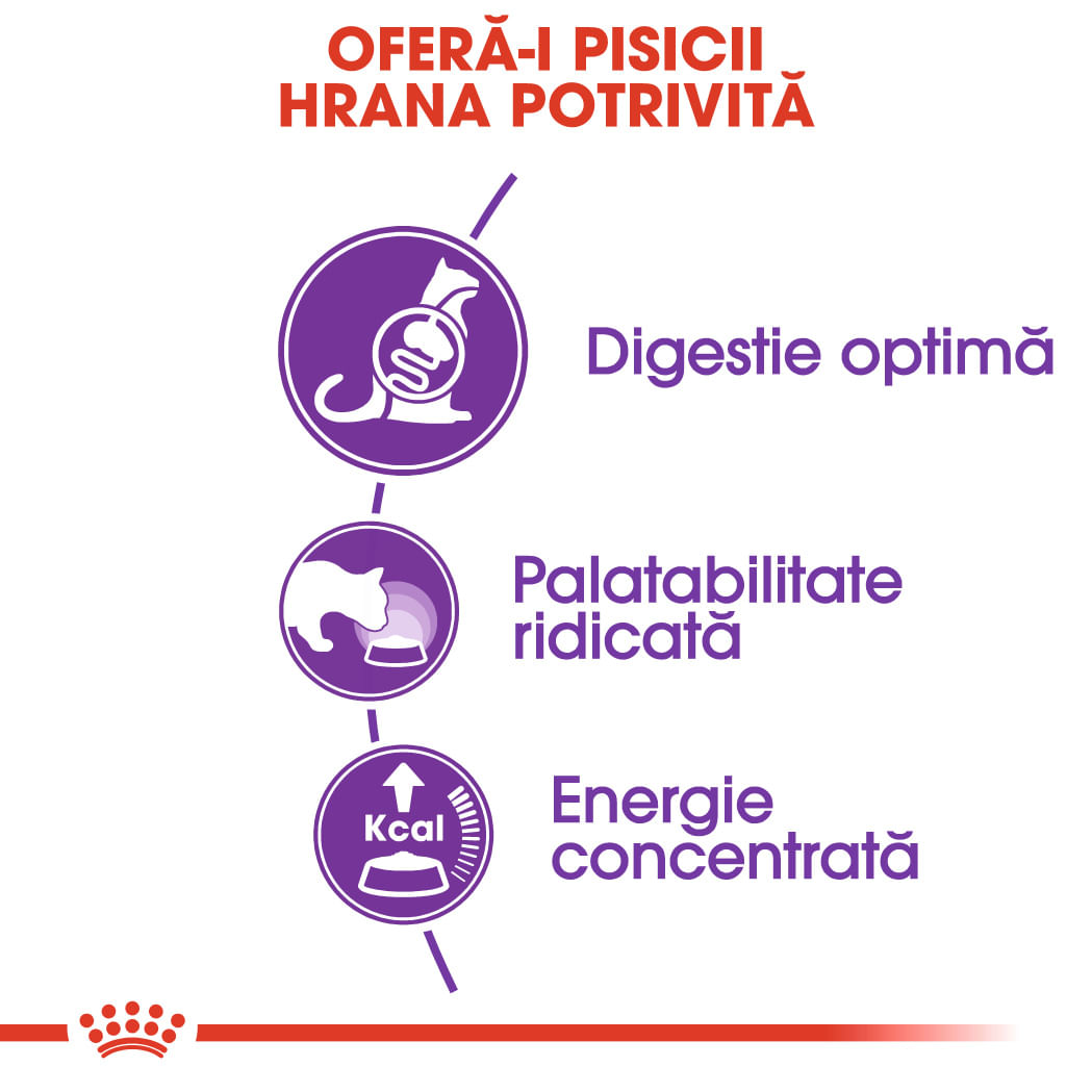 ROYAL CANIN Sensible Adult, hrană uscată pisici, digestie optimă, 10kg - poza 4