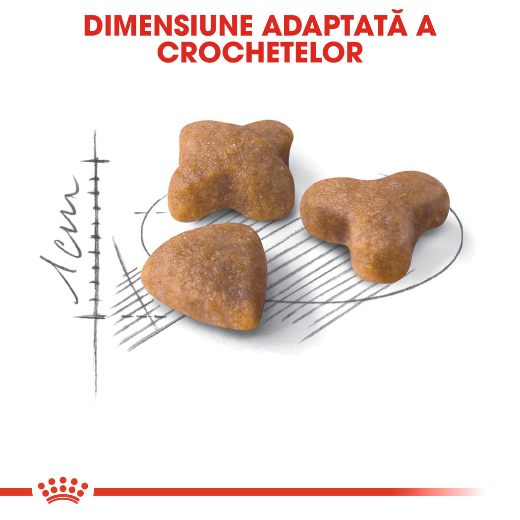 ROYAL CANIN Sensible Adult, hrană uscată pisici, digestie optimă, 400g - poza 5