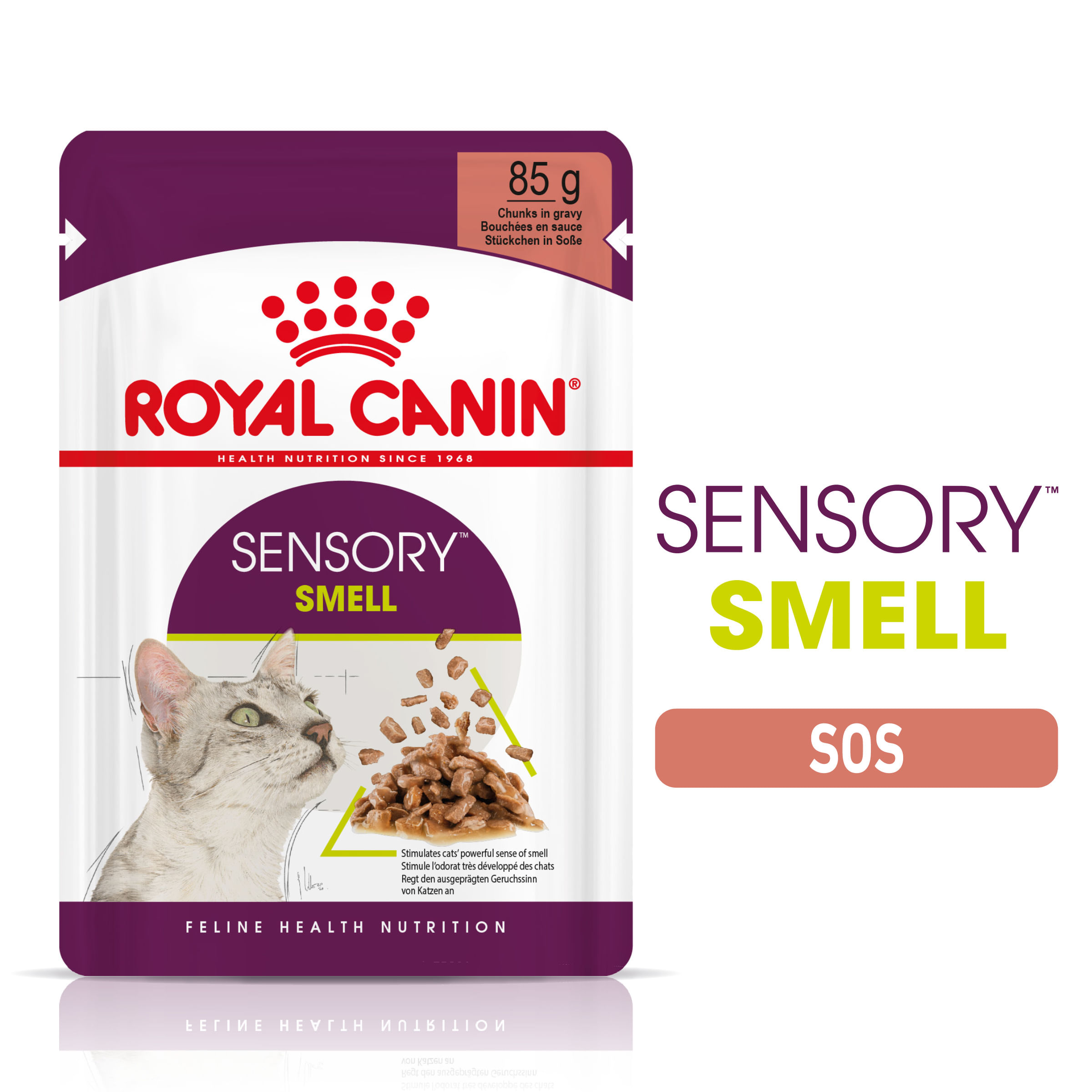 ROYAL CANIN Sensory Smell hrană umedă pisici stimularea mirosului (în sos), 85g - poza 1